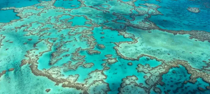 GreatBarrierReef_1000px_22_11_30