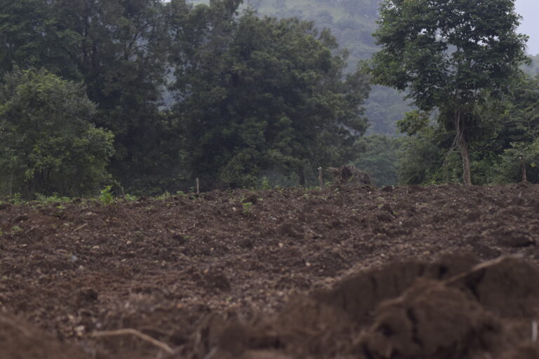 ගල්වලයාය – වටවලකණ්ඩිය : වනාන්තර අක්කර 16,770ක ඉරණම !