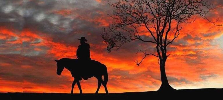 දාමරික අසරුවාගේ මුවට හුදෙකලා සැඳෑවක තණබිමක සරනකොට උණන කවි