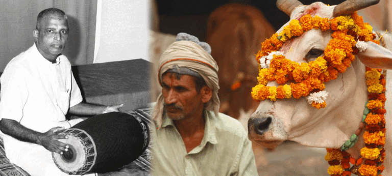 ‘ගංගාවක මූලාශ්‍ර හෝ සාන්තුවරයෙකුගේ පූර්වගාමීන් සොයන්න වෙහෙසෙන්න එපා!’