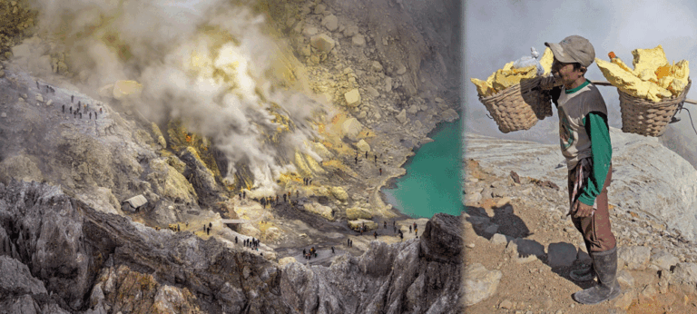 ඔවුහු ජීවත්වීම පිණිස පරදු නොතබන්නේ මොනවාද ?