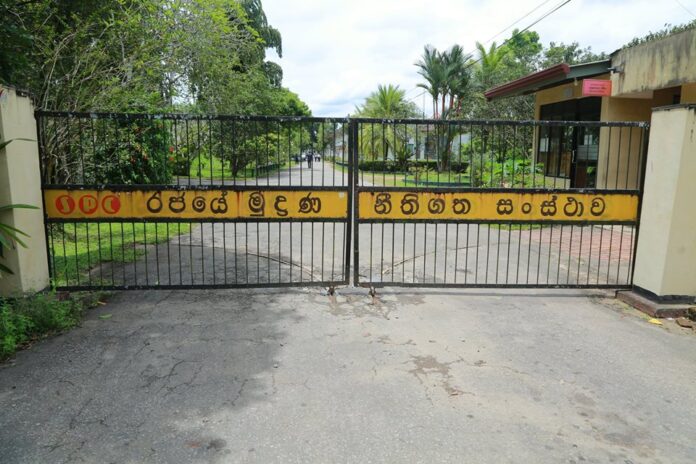 39603171_10156804030009060_3511169144965824512_n