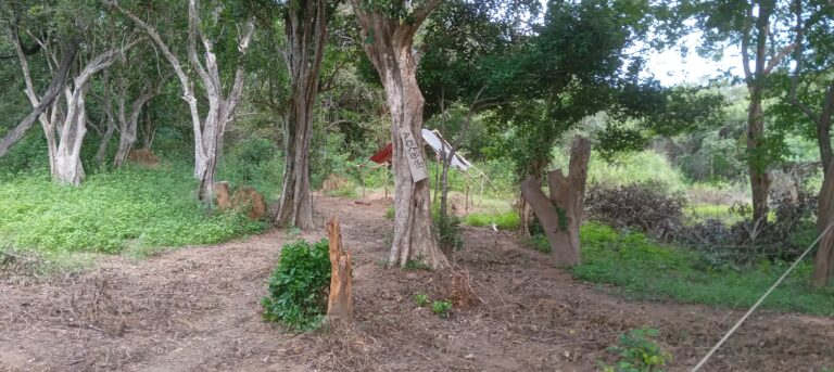 දිනාගත් යුක්තියත් උදුරාගත් පානම නොනිමි අවනඩුව !