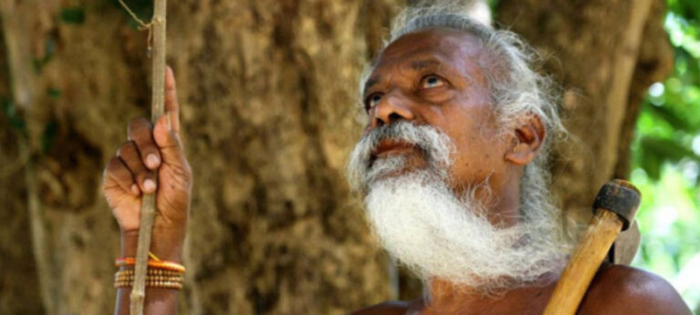 අපේ නිජබිම් පෞද්ගලික සමාගම්වලට දෙන්න හදනවා : මහවැලියට එරෙහි ආදිවාසී නායකයාගේ පෙත්සම විභාගයට !