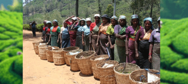 දෙමළෙන් දෙමළ ද බෙදලලු