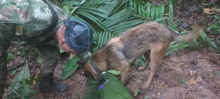 ‘අපි අපේ කොම්රේඩ් අත්හරින්නෙ නැහැ’ : කොලොම්බියාවේ බලාපොරොත්තුවේ මෙහෙයුම දිගටම !