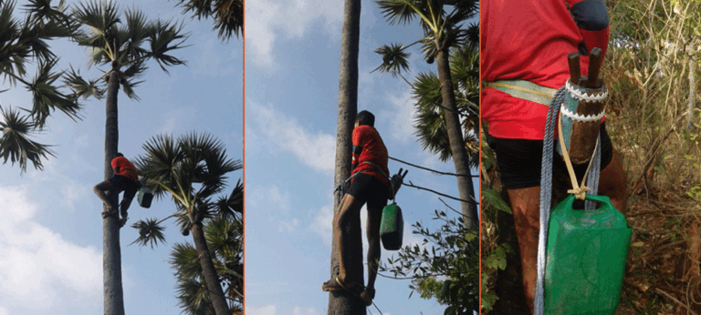 තවමත් අතීත වැඩවසම් මිනුම් දඬු මත කොන්කිරීමට ලක්වන, දවසට දහ දොළොස් වතාවක්ජීවිතය පරදුවට තබන මිනිස්සු