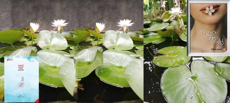 සාහිත්‍ය මොකටදැයි ඇසෙන ස්ත්‍රී-බ්‍රා පැරඩොක්සය මැද ‘ගොළු වෙණ තුරුලු කරගෙන’, ‘නොපාගා එන්න පරමල්’