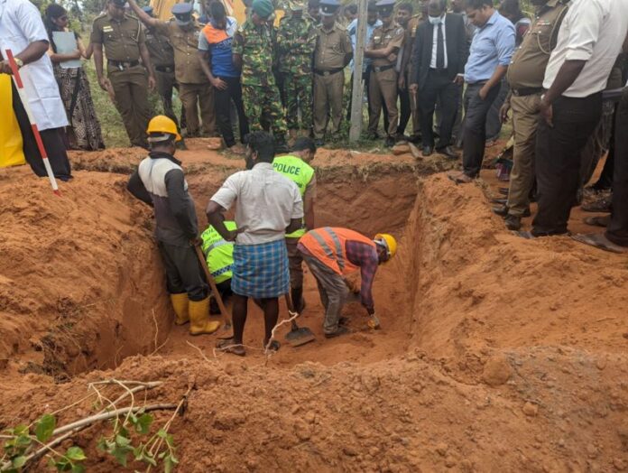 43025510-1c03-11ee-87d1-5feb7aae5bea