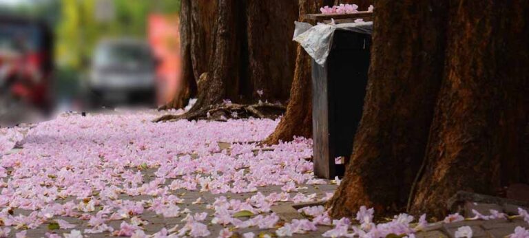 එකම නගරය දෙවරක් දැකිය හැකිය..!