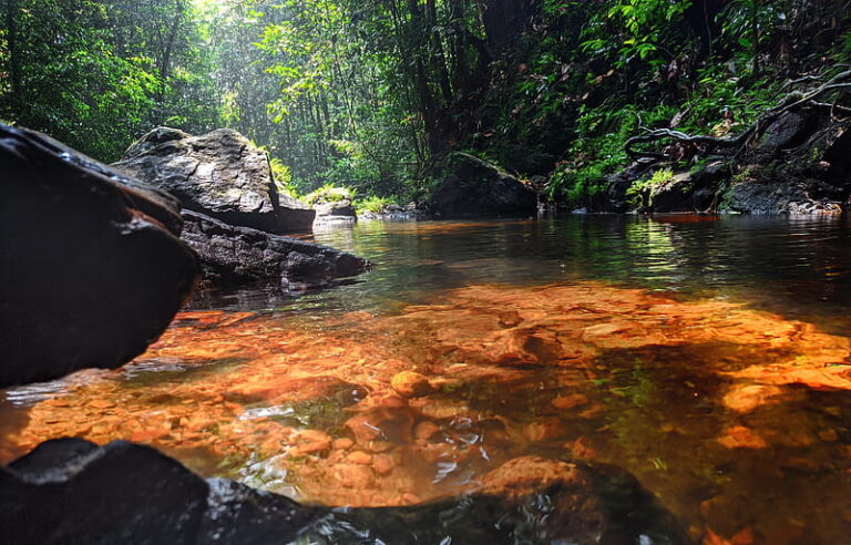 පරිසරවාදය සහ පරිසර දේශපාලනය සඳහා දාර්ශනික එළඹුමක් ! – වෛද්‍ය ප්‍රසන්න කුරේ