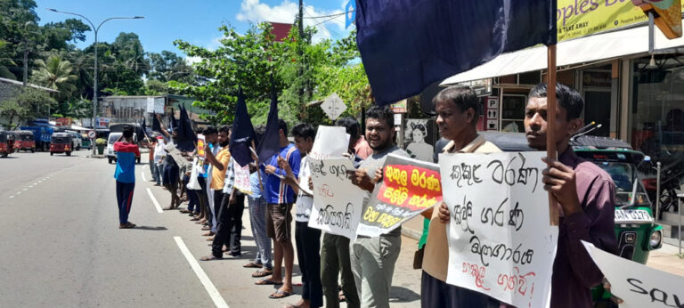 ‘කුකුල’ මරා සල්ලි ගරන යෝජිත විදුලි බලාගාරය