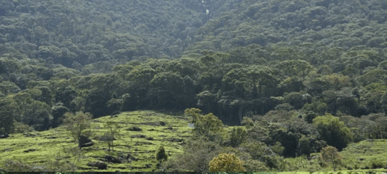 ඇමති සහ අමාත්‍යංශ ලේකම් එක් ව නීතිවිරෝධී ව රක්ෂිත වනාන්තර කොල්ලයක් අරඹති !