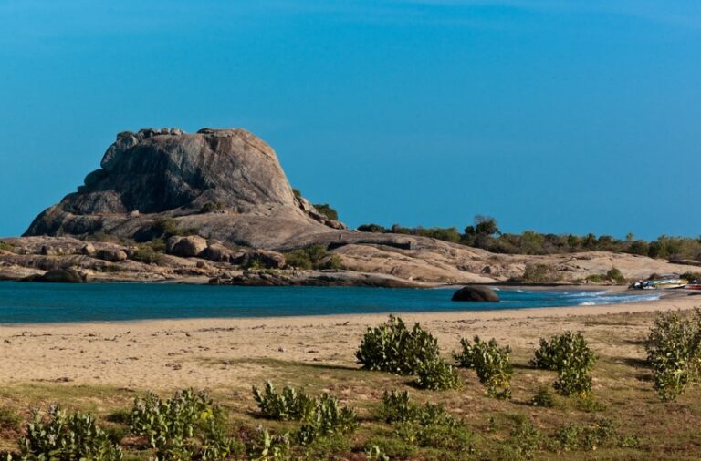 අණ-පනත් උල්ලංඝනය කරමින් වනජීවී අධ්‍යක්ෂ ජනරාල් යාල ඇතුළේ තරු 5 අවන්හල් හදන්න ටෙන්ඩර් කැඳවයි : බලය තිබේ නම් නීතිය පෙන්වන්න – පරිසරවේදීහු අභියෝග කරති !