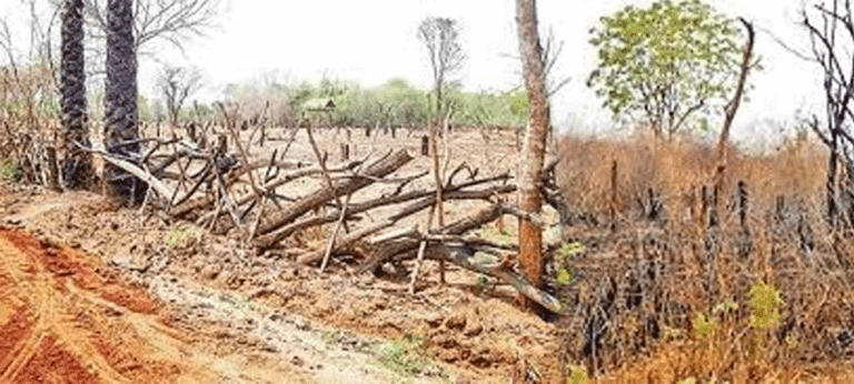 කඩදාසියකි සිත යට නවදැලි හේන…….