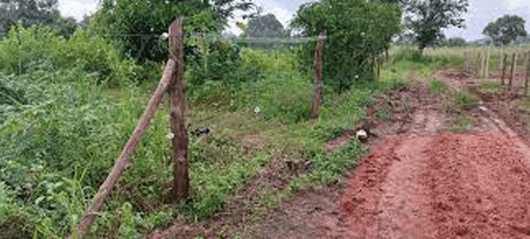 වලත්තෑවේ රාහුල හිමියන්ගේ ඉඩම් අයිතියට ශ්‍රේෂ්ඨාධිකරණයෙන් නියෝගයක් !