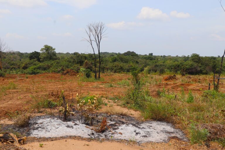 කතරගම දේවාලයේ බස්නායක නිලමේ වන සංරක්ෂණ ඉඩම් නීතිවිරෝධී ව ව්‍යාපාරිකයන්ට බදු දෙයි !