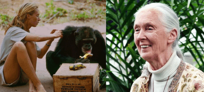 Jane-Goodall