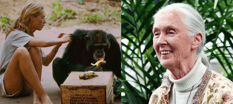 ජේන් ගුඩෝල් 90 වෙනි ජන්ම දිනය අප්‍රේල් 03