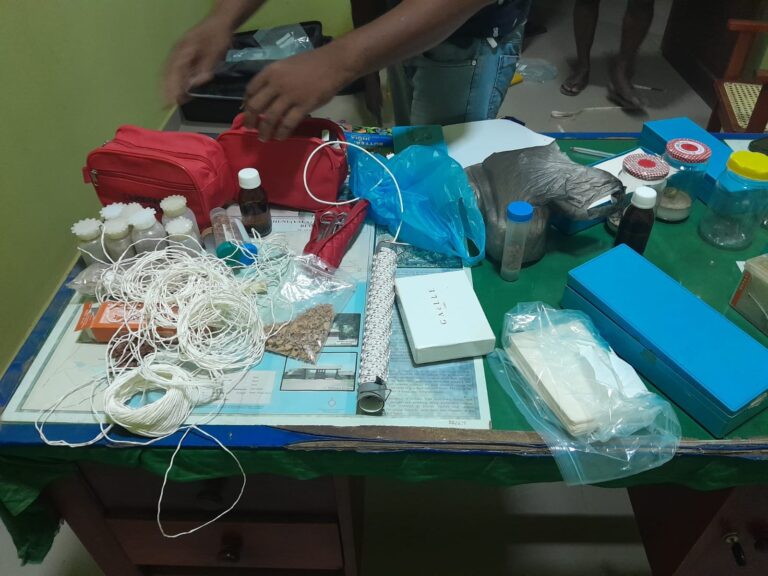 ජාන මංකොල්ලකරුවන්ට පැනයන්නට නීතියේ හිඩැස් සාදාදුන්නේ කවරහුද?