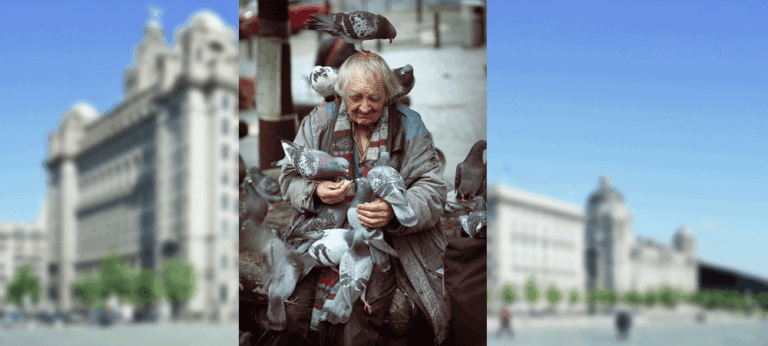 පරෙවි මිනිසා