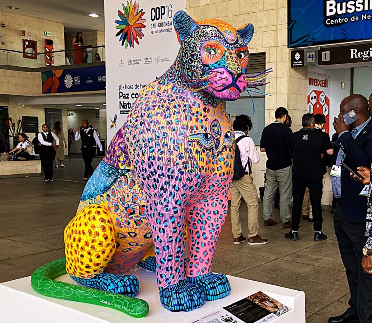 ජෛව විවිධත්ව සමුළුව හා ඩිජිටල් යටත්විජිතකරණය CBD, COP16, DSI සහ AI !