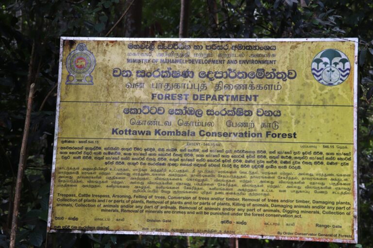 ඉඩම් ජාවාරම්කරුවන් ගාල්ල දිසා වන නිලධාරී හා වෛද්‍ය නිශාන්ත සමරවීර මන්ත්‍රීවරයා මුලා කර කොට්ටව – කෝඹල වනයේ රක්ෂිත ඉඩම් බෙදාගැනීමට සූදානම් වෙයි !