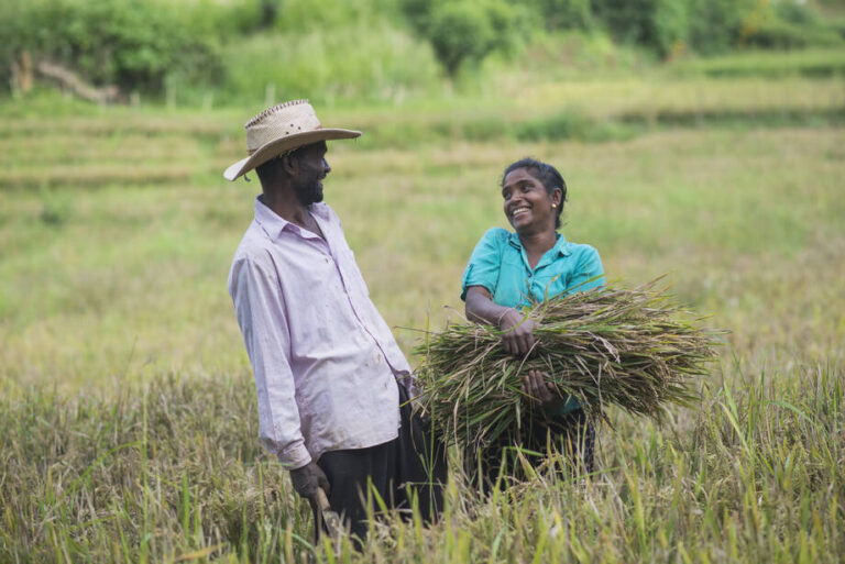 වවන්නෝ දිනන්නෝ වෙනුවට වැවීමෙන් දිනිය හැකි හෙටක් !