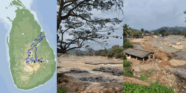 මහවැලි ගං කොමළිය තම සුපුරුදු ගමන්මග හෙළිපෙහෙළි කරගෙන ද ?