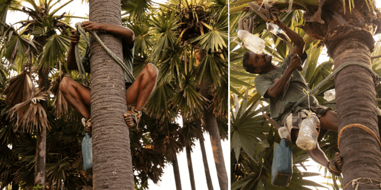 පොළොව සහ අහස අතර මැදිහත්කරුවෙක්