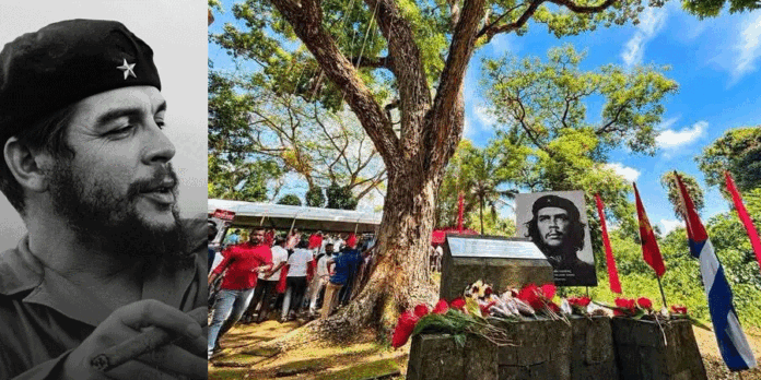 che