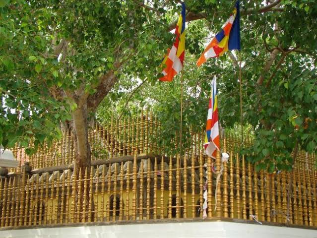 ප්‍රථම වරට අනුරාධපුර පූජා භූමිය සංවර්ධනයට රුපියල් කෝටි 400ක් – ගැසට් පත්‍රයකින් සියල්ල ප්‍රකාශයට පත්කරලා !